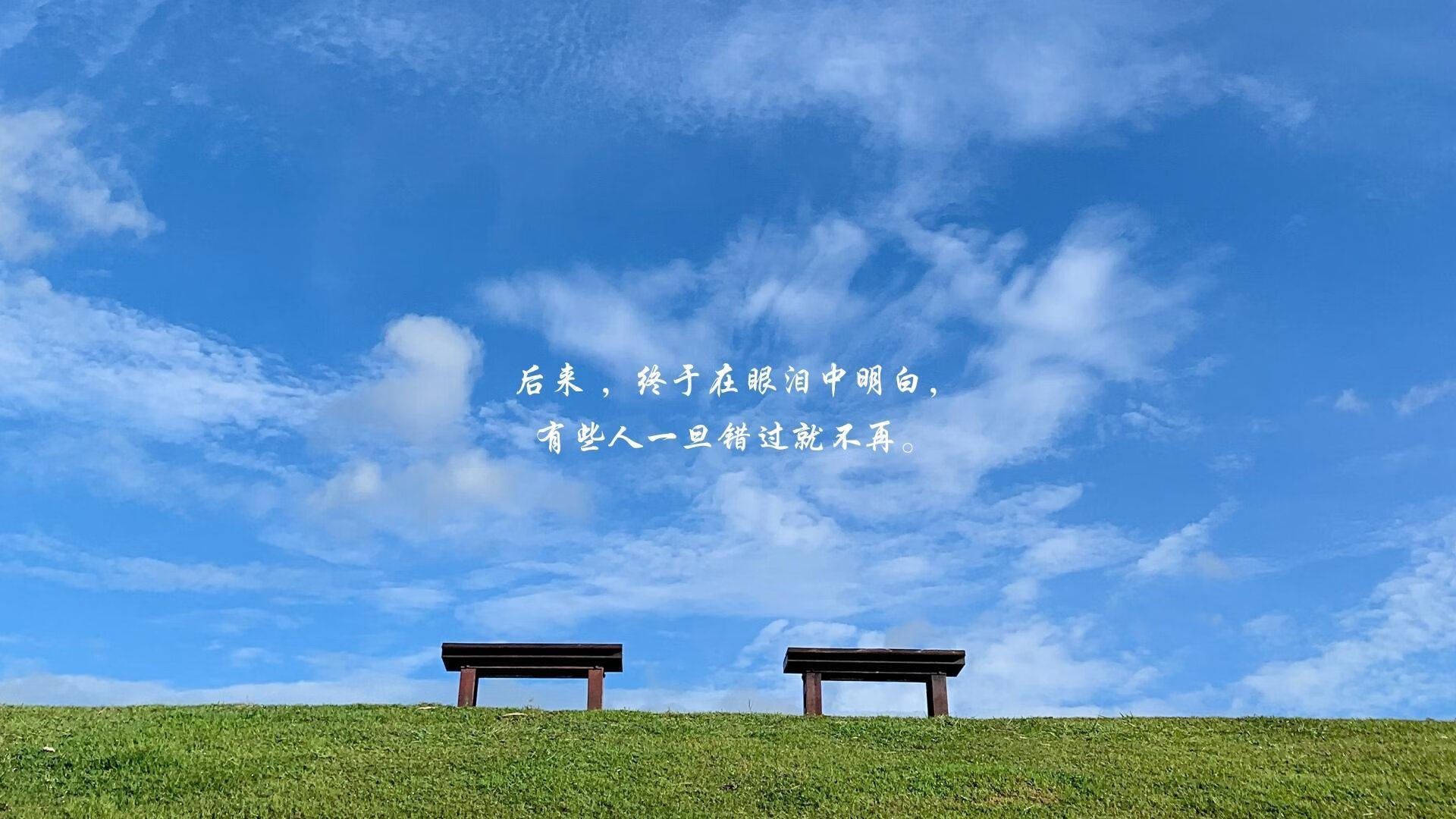 意大利马术协会推出马术运动员职业发展规划，促进人才培养。，意大利马具