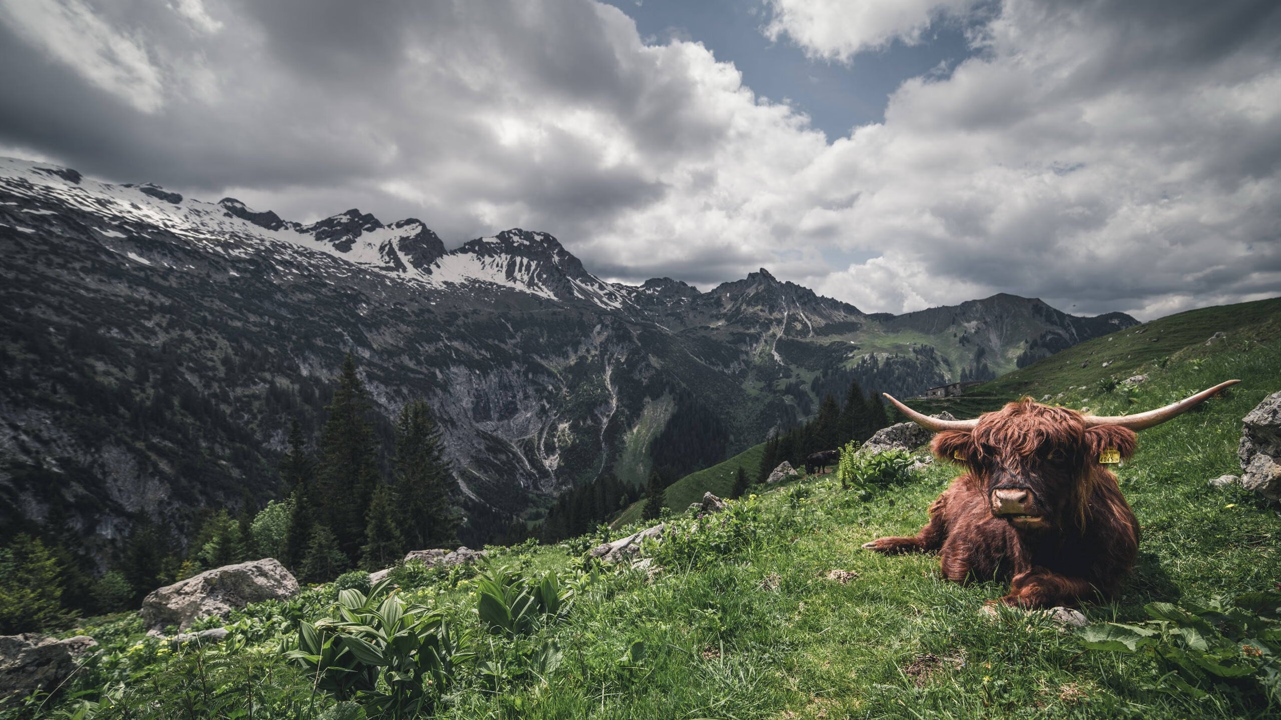 开运app官网-2022年总决赛：库里在关键时刻几次神级远投，让对手完全无解，夺冠瞬间令人难忘
