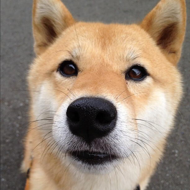 Kaiyun APP-中国足球产业链绿色化发展新篇章，足球产业规模