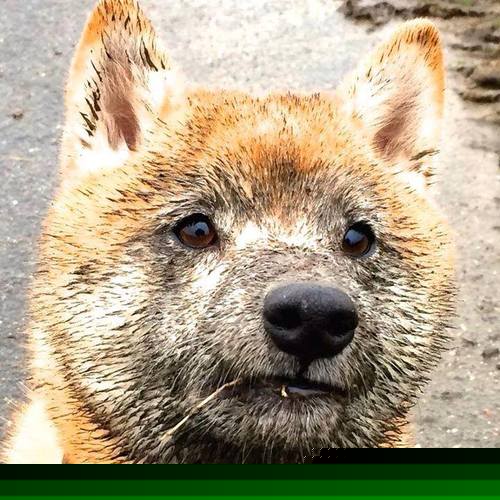 开云官网在线-中国队前锋马丁内斯在巴黎奥运会上表现出色，马丁内斯加盟巴萨